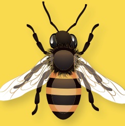 Abejas
